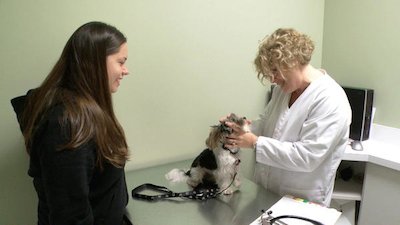 Vets Saving Pets Season 1 Episode 33