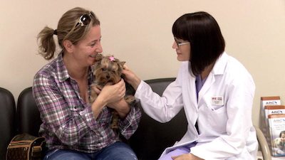 Vets Saving Pets Season 2 Episode 7
