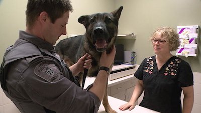 Vets Saving Pets Season 2 Episode 14