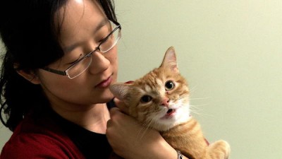 Vets Saving Pets Season 2 Episode 16