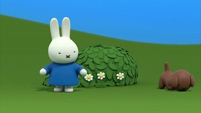 Watch Miffy's Adventures Big and Small Season 1 Episode 19 - Snuffy the ...