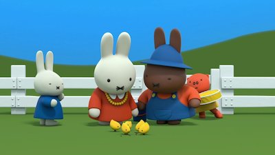 Miffy's Adventures Big and Small Season 3 Episode 11