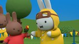 Miffy and the Pet Show