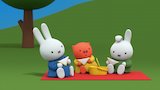 Miffy's Picnic