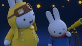 Miffy and the Starry Night