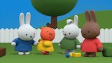 Miffy's Sports Day