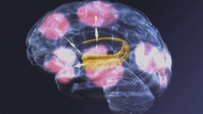 Scientific American Frontiers Season 14 Episode 2