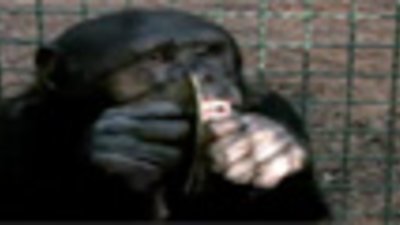 Scientific American Frontiers Season 15 Episode 4