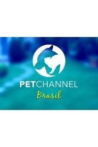 Petchannel Brasil