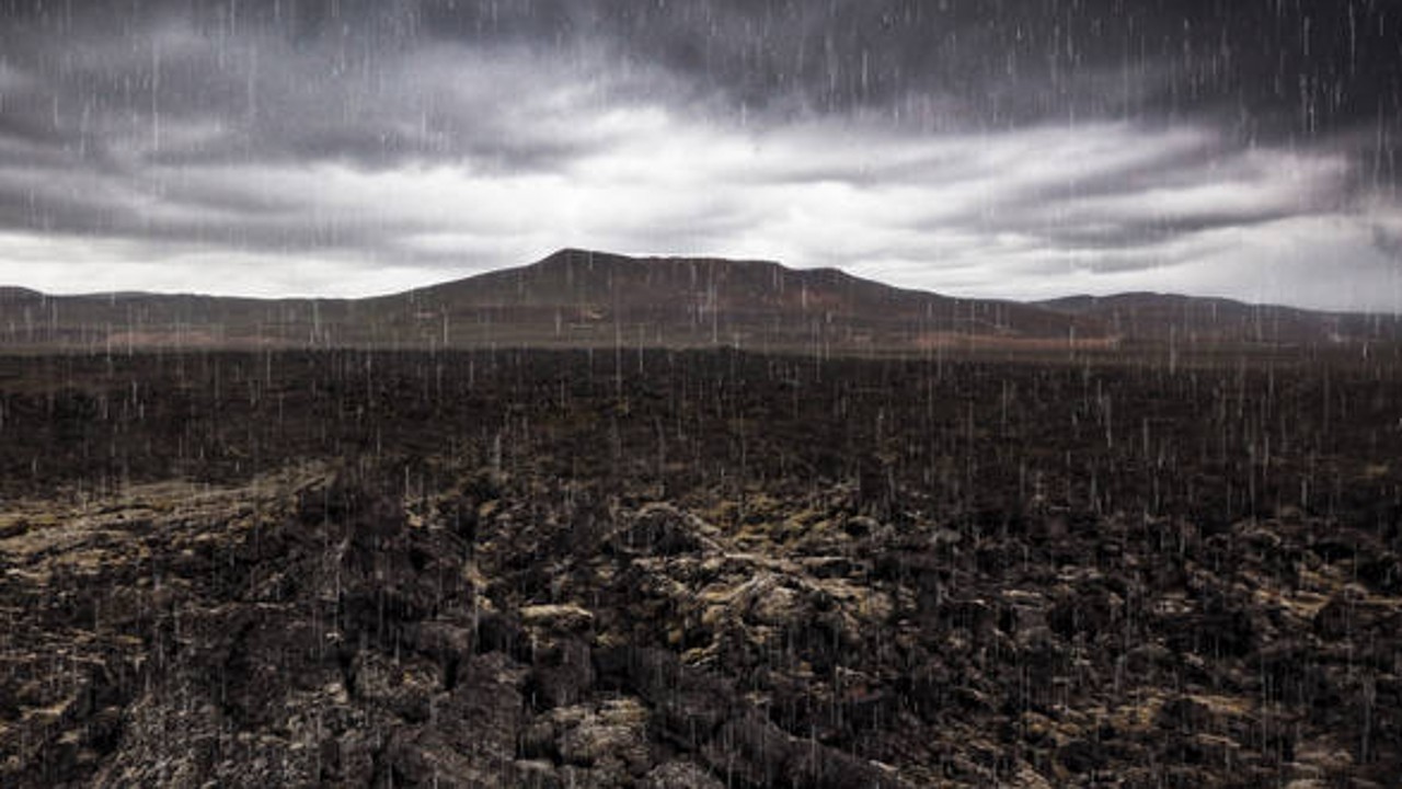 Mass Extinction: Life at the Brink