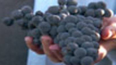 Made in Spain Season 1 Episode 13