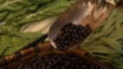 Made in Spain Season 1 Episode 7