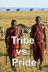 Tribe vs. Pride