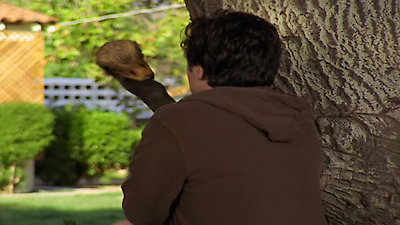 Scrubs Season 5 Episode 8