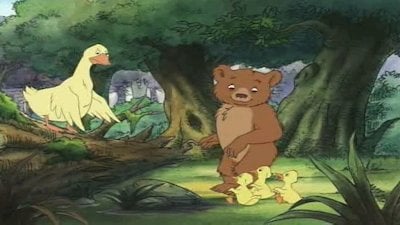 Little Bear Season 5 Episode 1