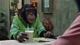 Secret Chimp: The CHUMP Code Caper, Weather or Not