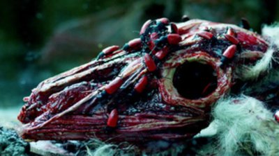 Deadwax Season 1 Episode 7