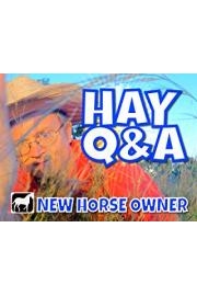 New Horse Owner: Hay Q&A