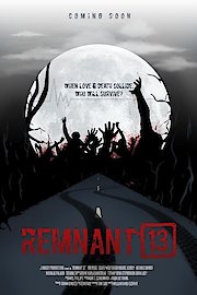 Remnant 13