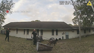 Body Cam Season 8 Episode 3