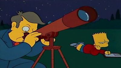 The Simpsons Season 6 Episode 14