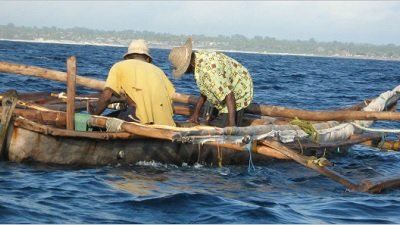 The Nature of Things Season 47 Episode 5