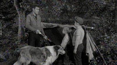 Lassie Season 5 Episode 38