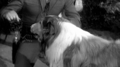 Lassie Season 5 Episode 36