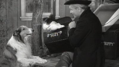 Lassie Season 5 Episode 30