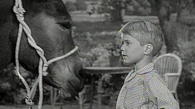 Lassie Season 5 Episode 24