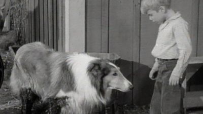 Lassie Season 5 Episode 21