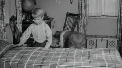 Lassie Season 5 Episode 1