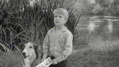 Lassie - watch tv show streaming online