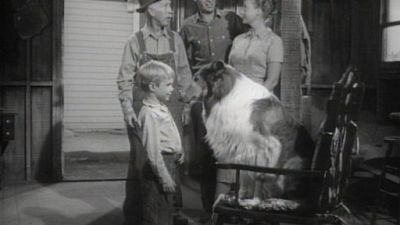 Lassie Season 5 Episode 6