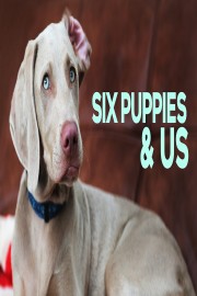 6 Puppies & Us