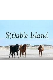 S(t) able Island