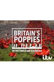 Britain's Poppies: The First World War Remembered