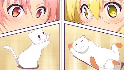 Three Leaves, Three Colors Season 1 Episode 4