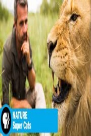 Nature: Super Cats