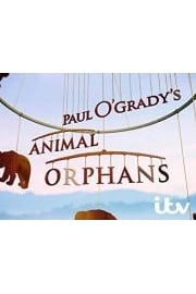 Paul O'Grady's Animal Orphans