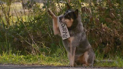 Always Greener Season 1 Episode 8