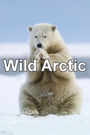 Wild Arctic