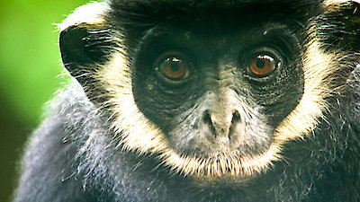 Earth Odyssey with Dylan Dreyer Season 1 Episode 1