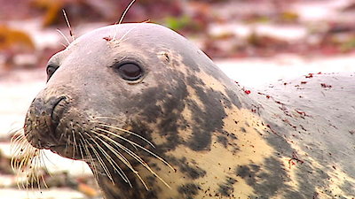 Earth Odyssey with Dylan Dreyer Season 1 Episode 2