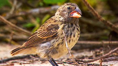 Earth Odyssey with Dylan Dreyer Season 1 Episode 3