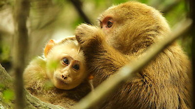 Earth Odyssey with Dylan Dreyer Season 1 Episode 4