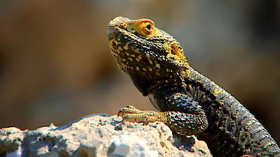 Earth Odyssey with Dylan Dreyer Season 1 Episode 6