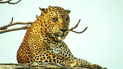 Earth Odyssey with Dylan Dreyer Season 1 Episode 7