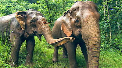 Earth Odyssey with Dylan Dreyer Season 1 Episode 8