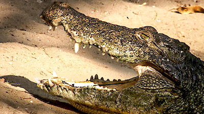 Earth Odyssey with Dylan Dreyer Season 1 Episode 9